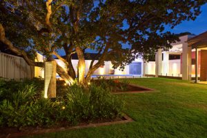 Spike Lights on Water Feature LED SA outdoor living LED-Uplighting