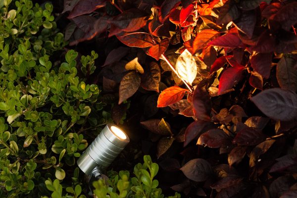 Garden Spike Light LED SA Outdoor Lighting